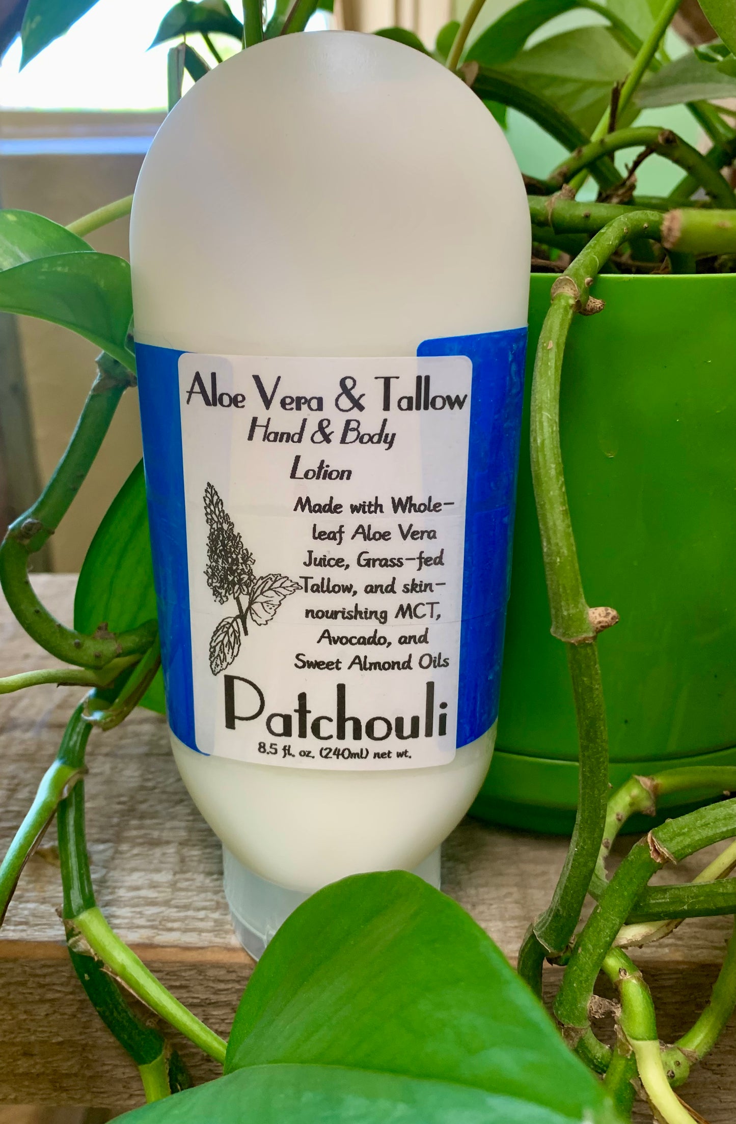 Aloe Vera & Tallow Lotion, Patchouli 8.5oz