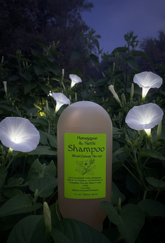 Shampoo- Honeyquat & Nettle 9oz