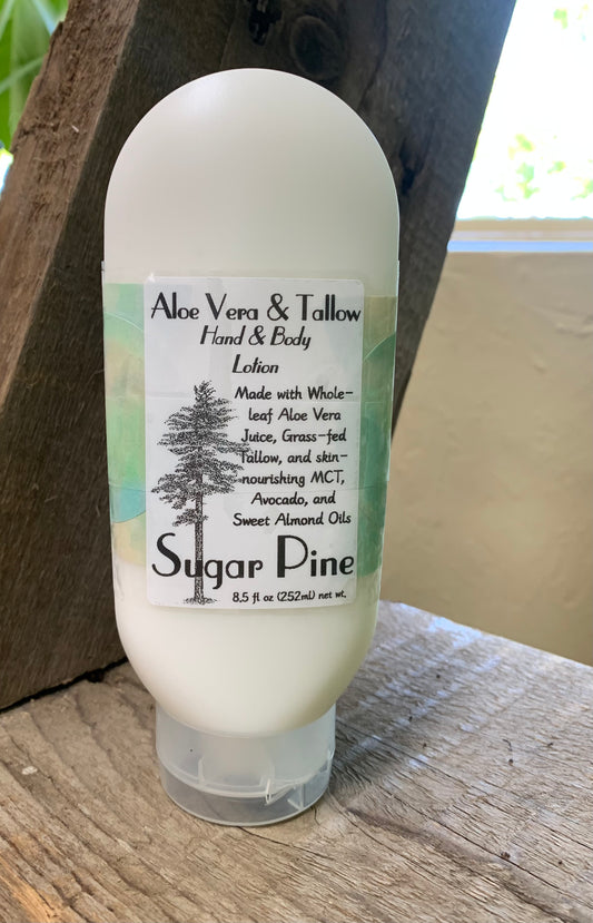 Aloe Vera & Tallow Lotion, Sugar Pine 8.5oz